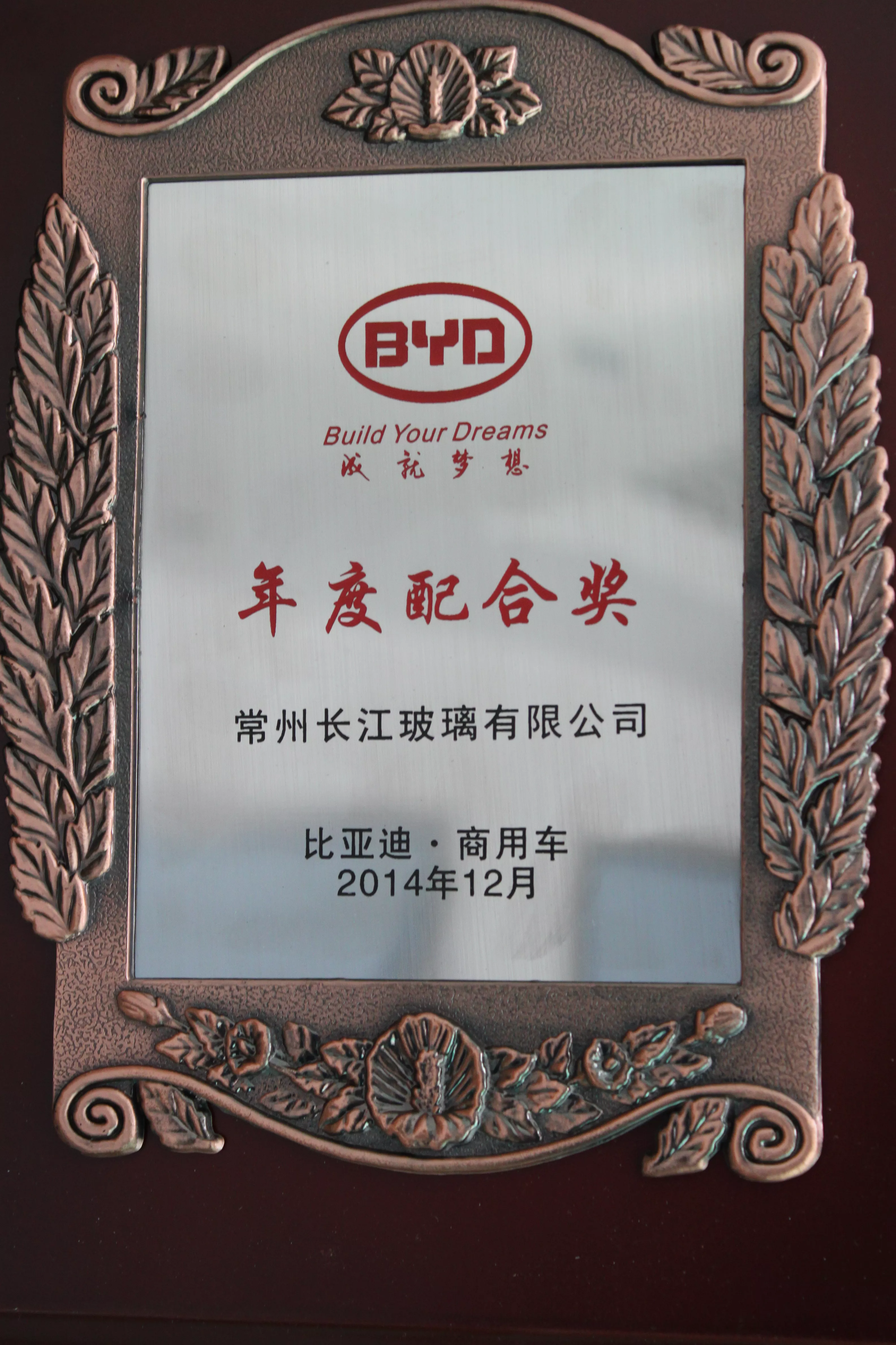 比亚迪年度配合奖
