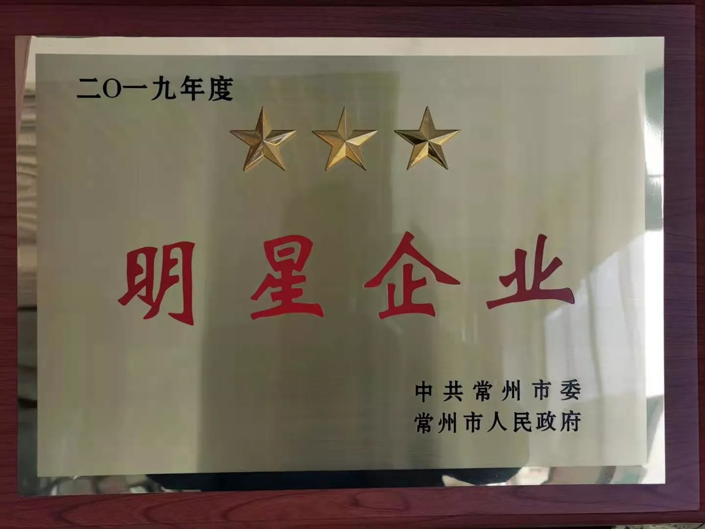 常州市明星企业